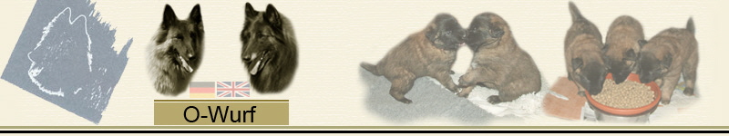 Banner_O_Wurf